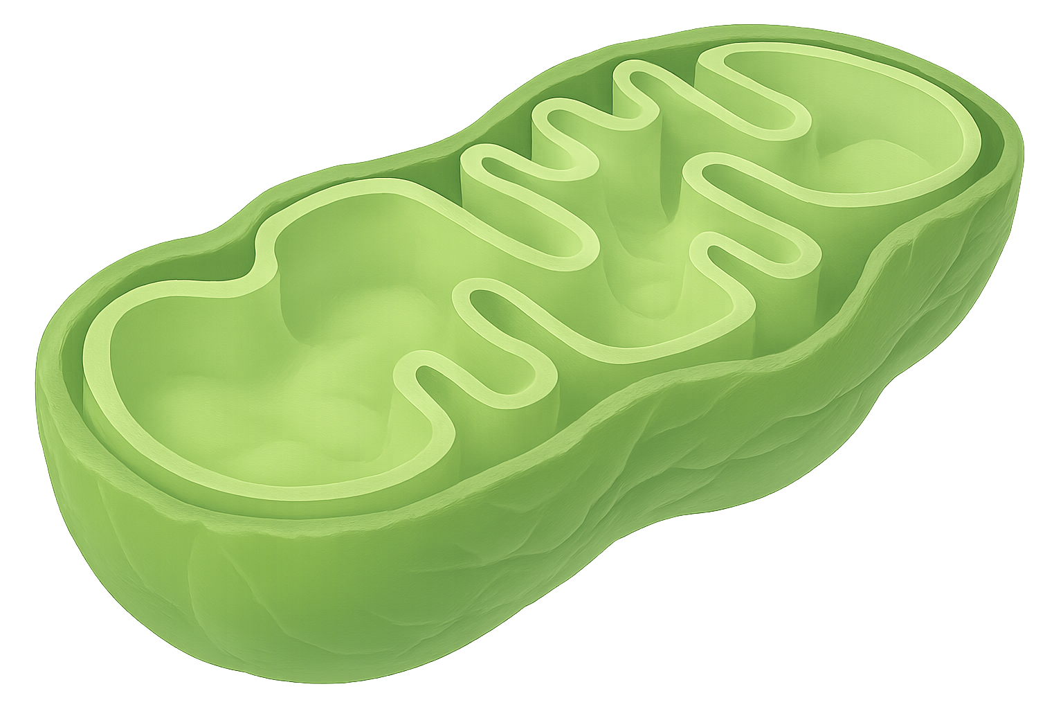 PeakQQ™ PQQ mitochondoria PeakQQ™ PQQ mitochondoria 优势与特点